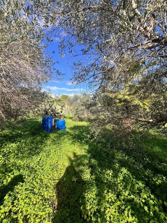 immagine annuncio 2 di 3