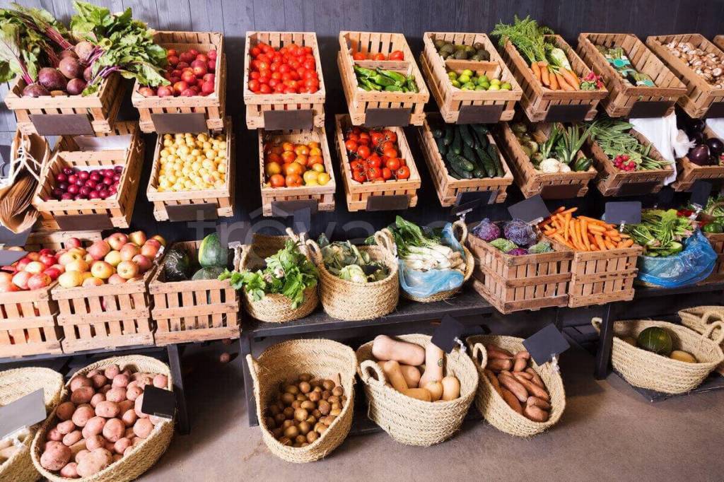 immagine annuncio 2 di 10