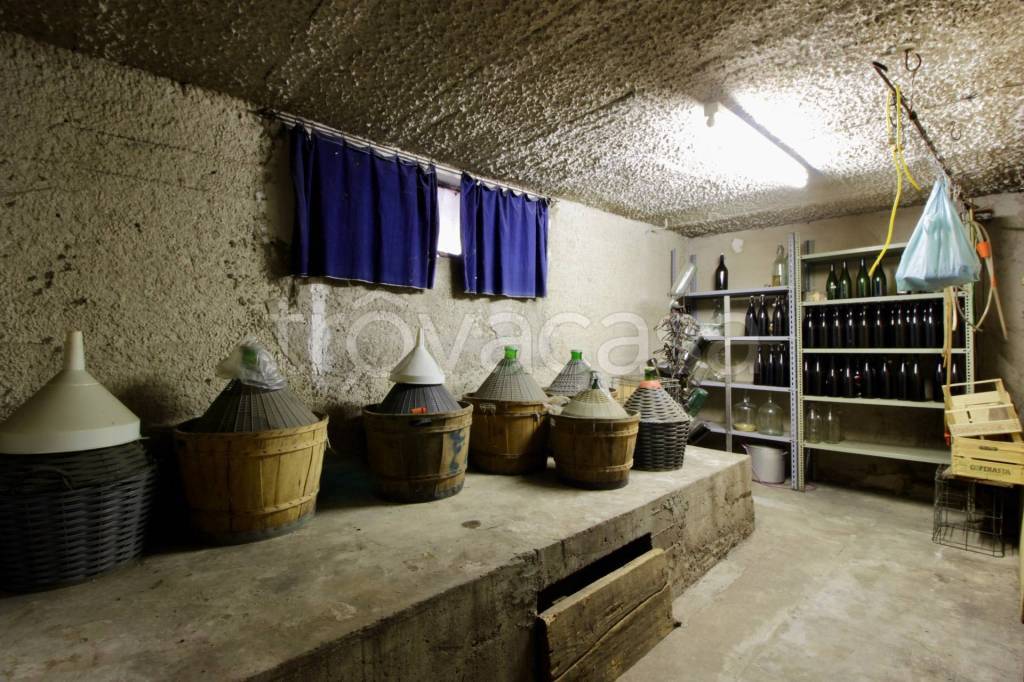 immagine annuncio 12 di 14