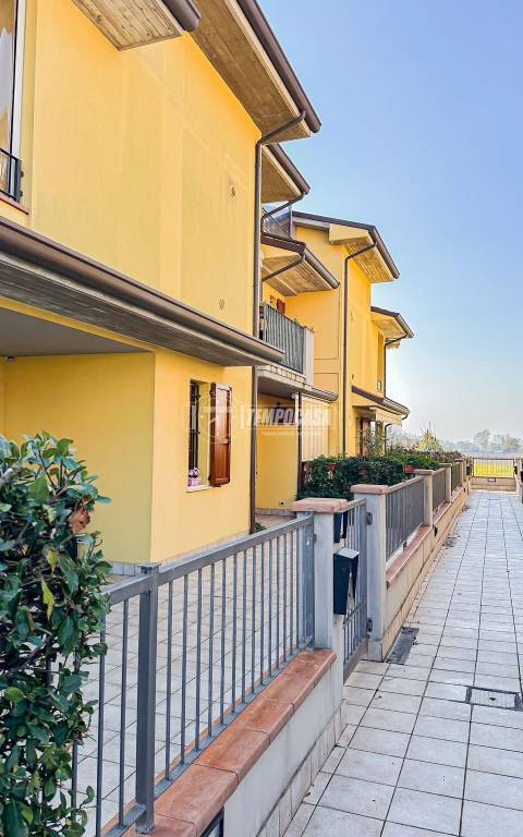 immagine annuncio 7 di 12