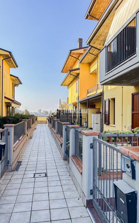 immagine annuncio 8 di 12