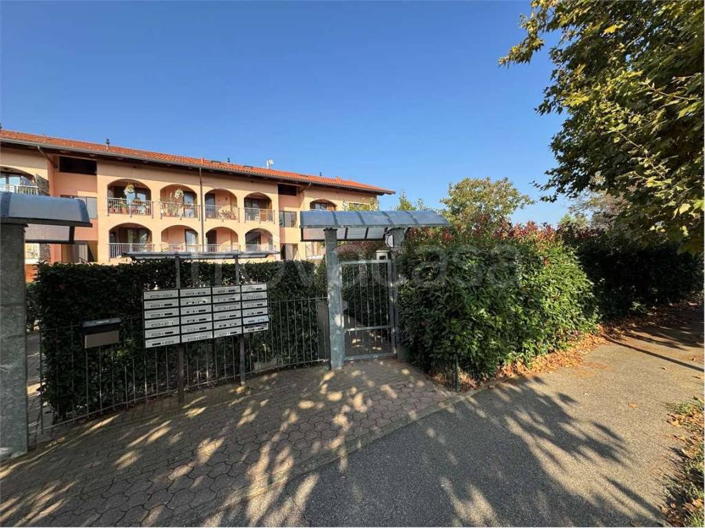 immagine annuncio 12 di 15