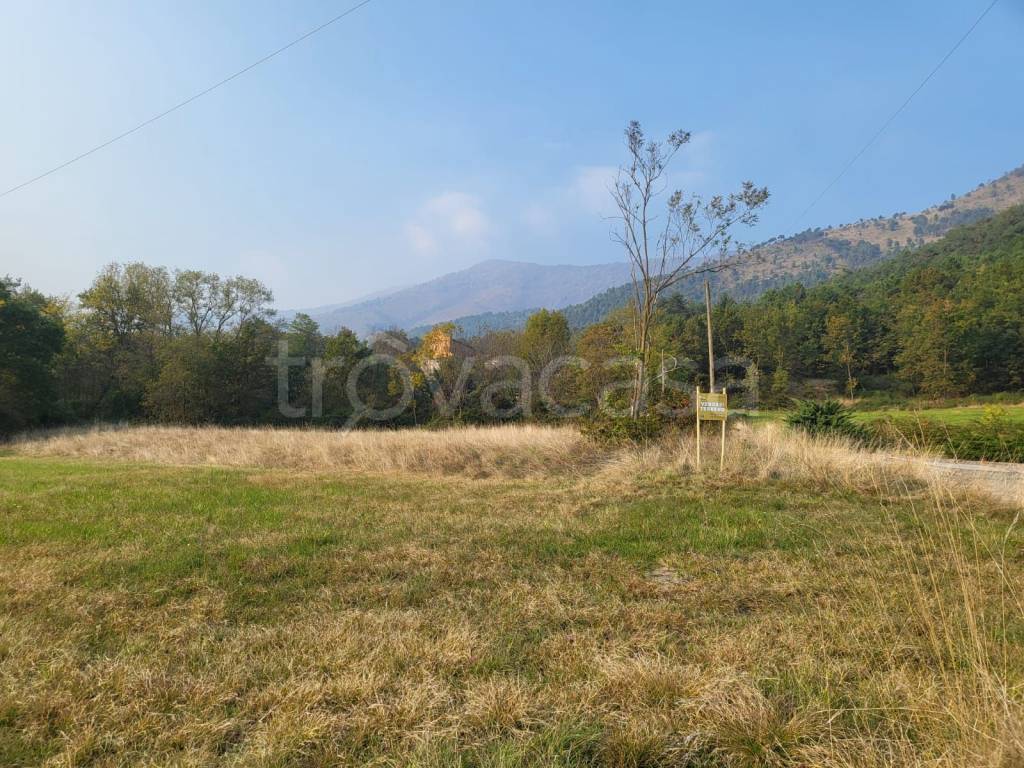 immagine annuncio 6 di 8