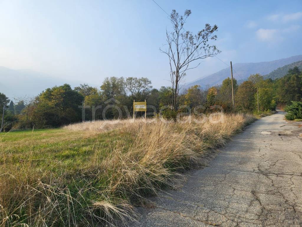 immagine annuncio 4 di 8