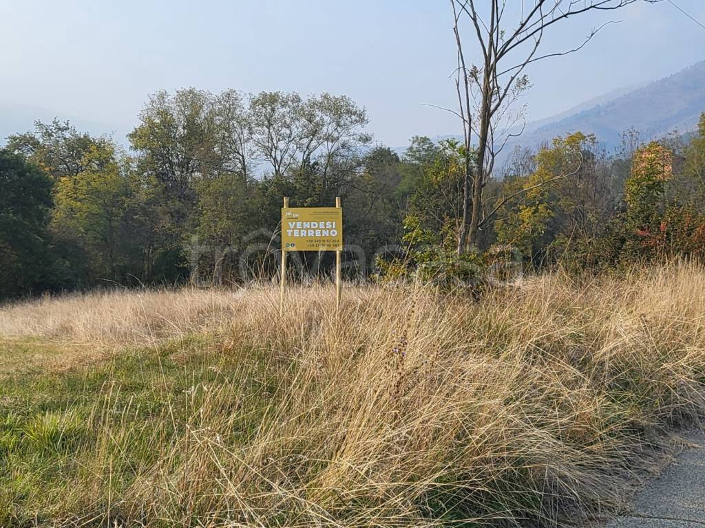 immagine annuncio 2 di 8