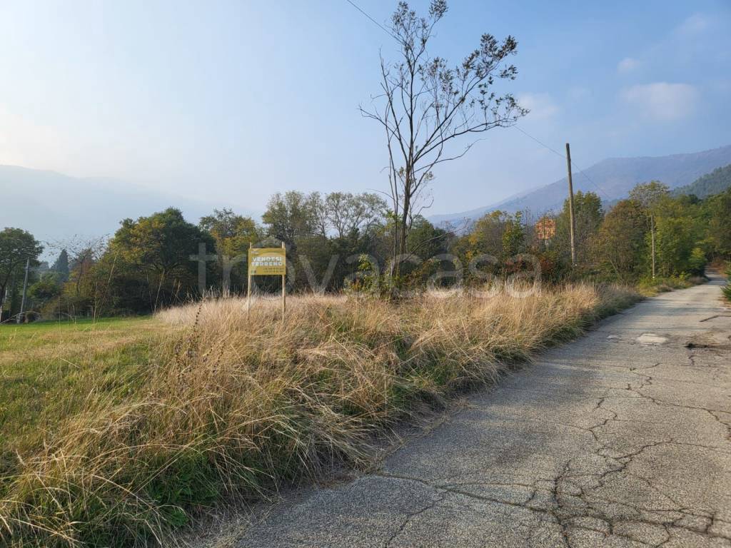 immagine annuncio 3 di 8