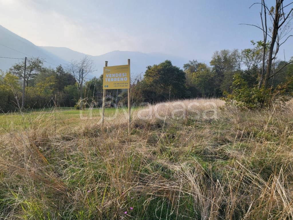 immagine annuncio 1 di 8