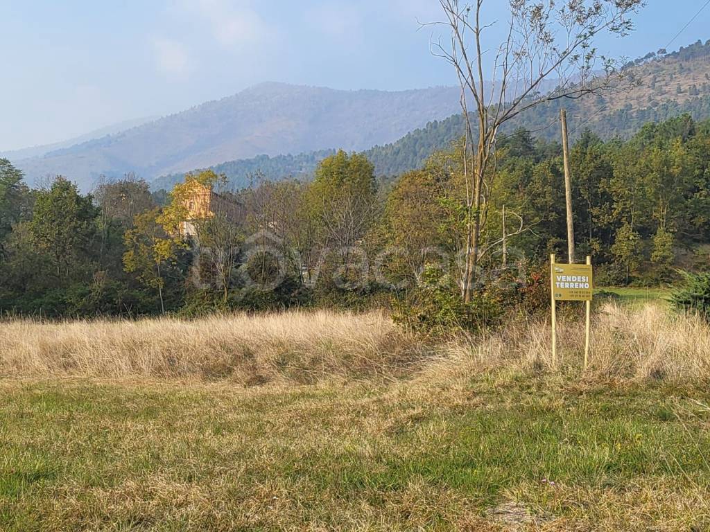 immagine annuncio 5 di 8