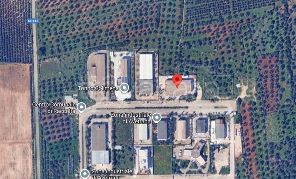 immagine annuncio 3 di 10