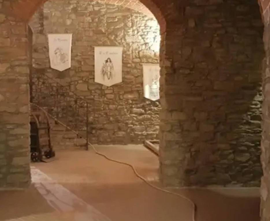 immagine annuncio 7 di 11