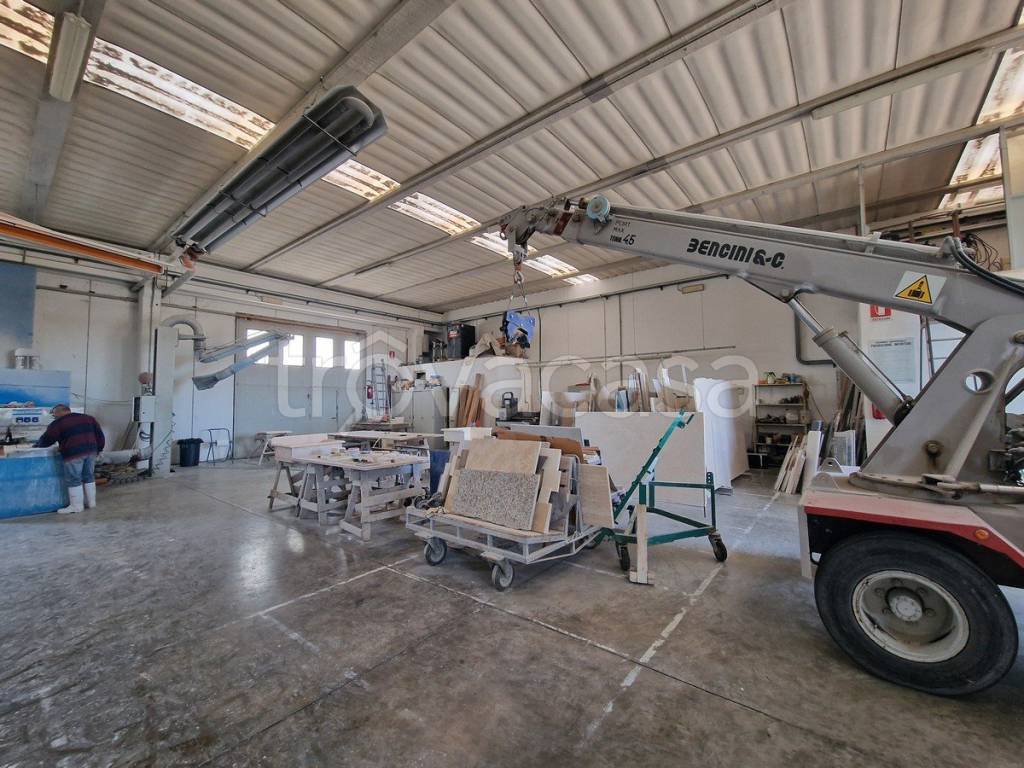 immagine annuncio 2 di 12