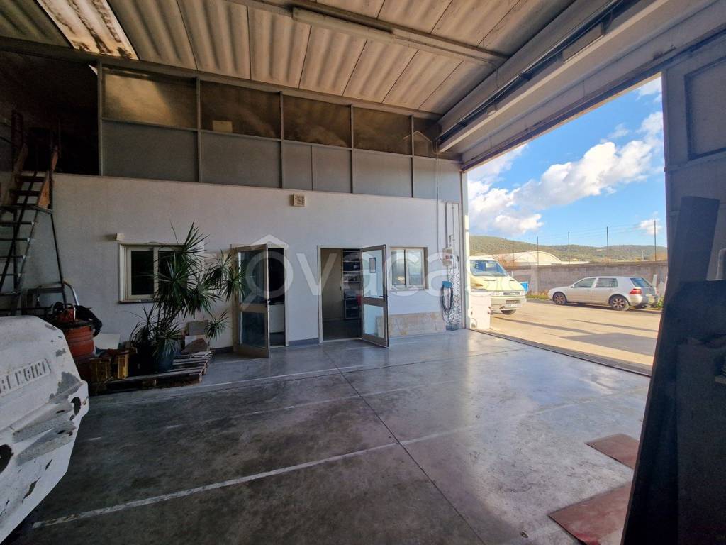 immagine annuncio 4 di 12