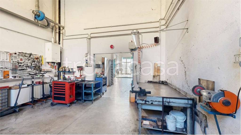 immagine annuncio 9 di 15