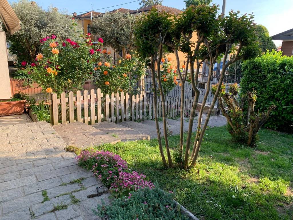 immagine annuncio 2 di 15