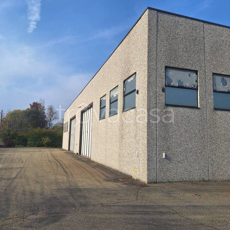 immagine annuncio 3 di 14