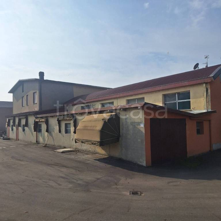 immagine annuncio 5 di 14