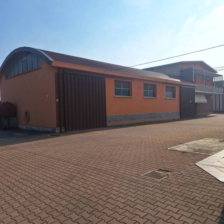 immagine annuncio 7 di 14