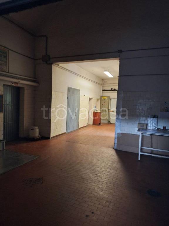 immagine annuncio 9 di 14