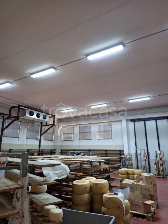 immagine annuncio 10 di 14