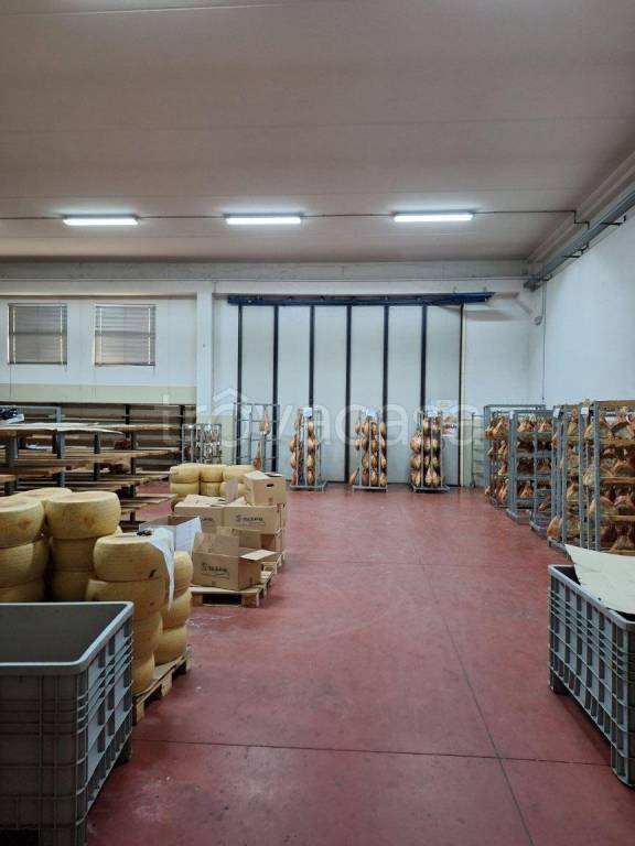 immagine annuncio 11 di 14