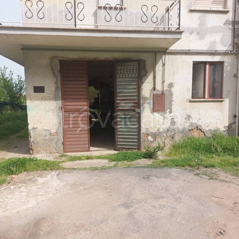 immagine annuncio 7 di 8