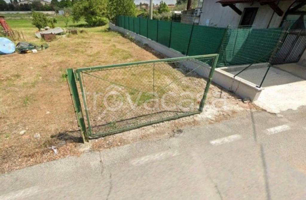 immagine annuncio 5 di 11