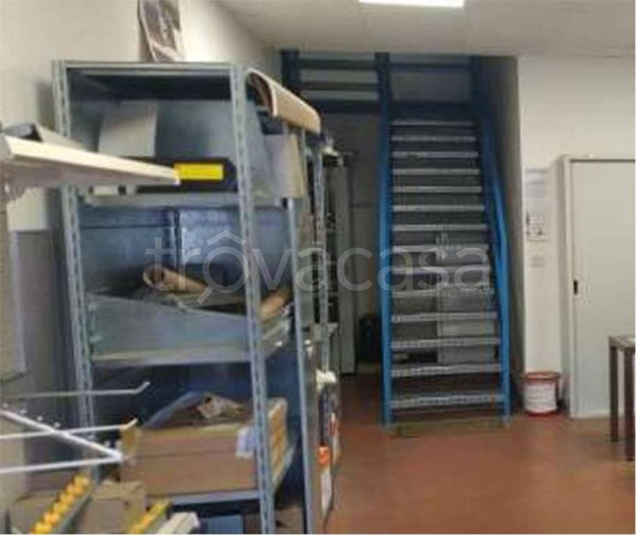 immagine annuncio 3 di 14