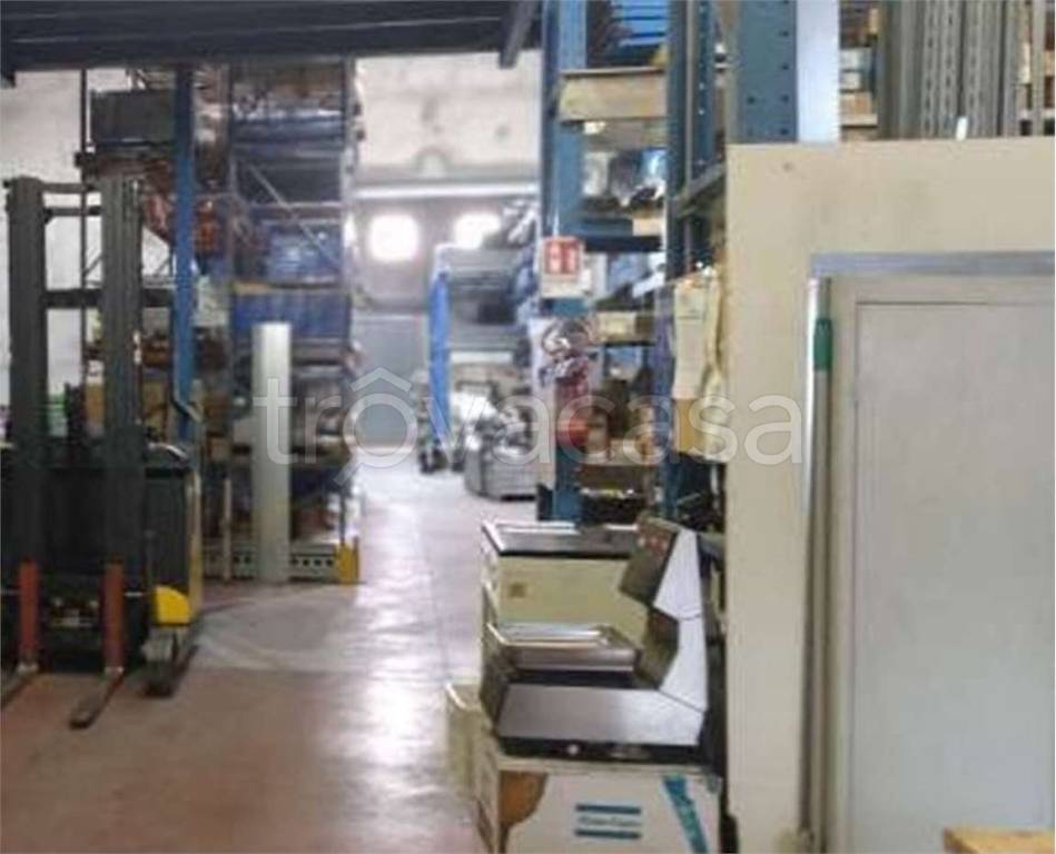 immagine annuncio 5 di 14