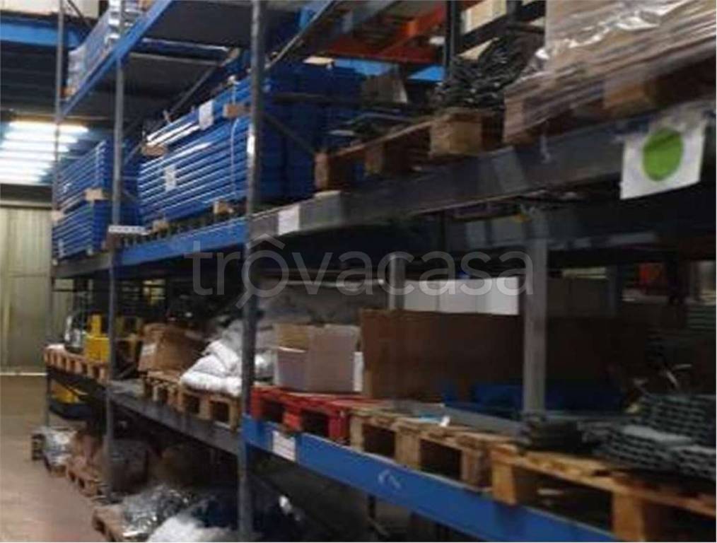 immagine annuncio 7 di 14