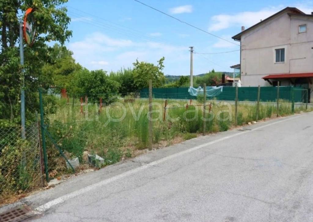 immagine annuncio 7 di 11