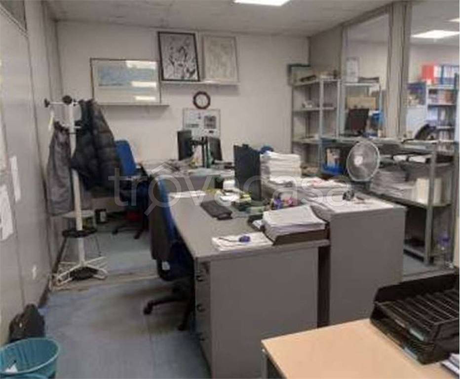 immagine annuncio 9 di 14