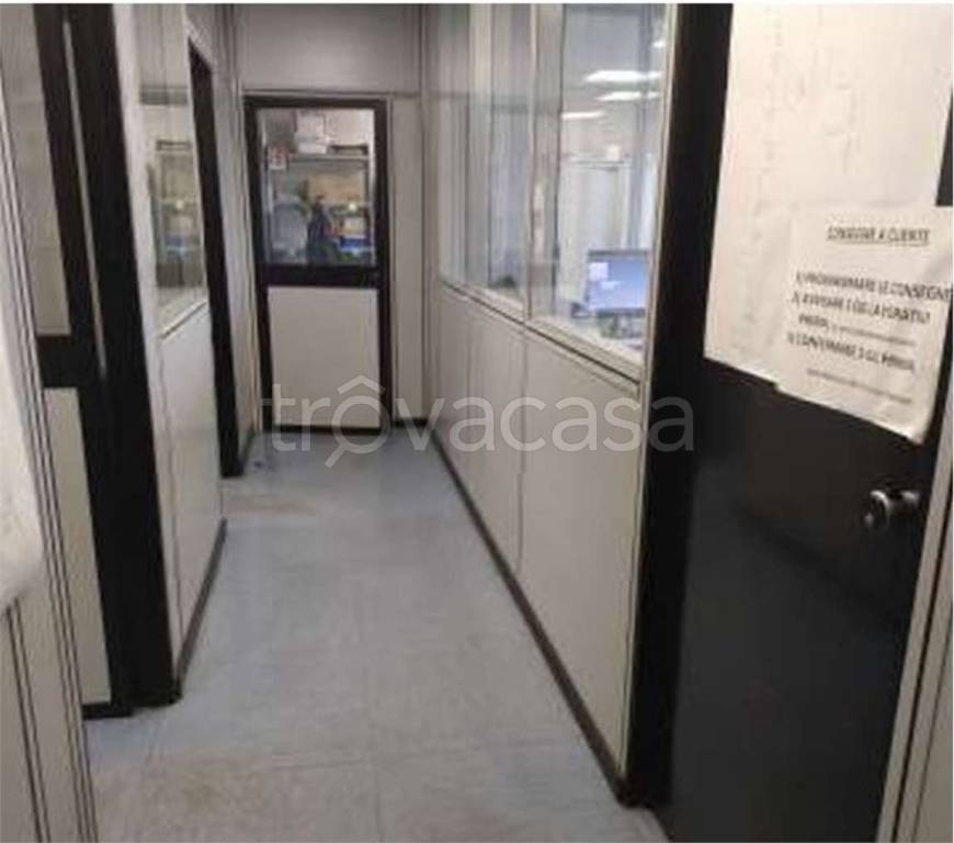 immagine annuncio 10 di 14