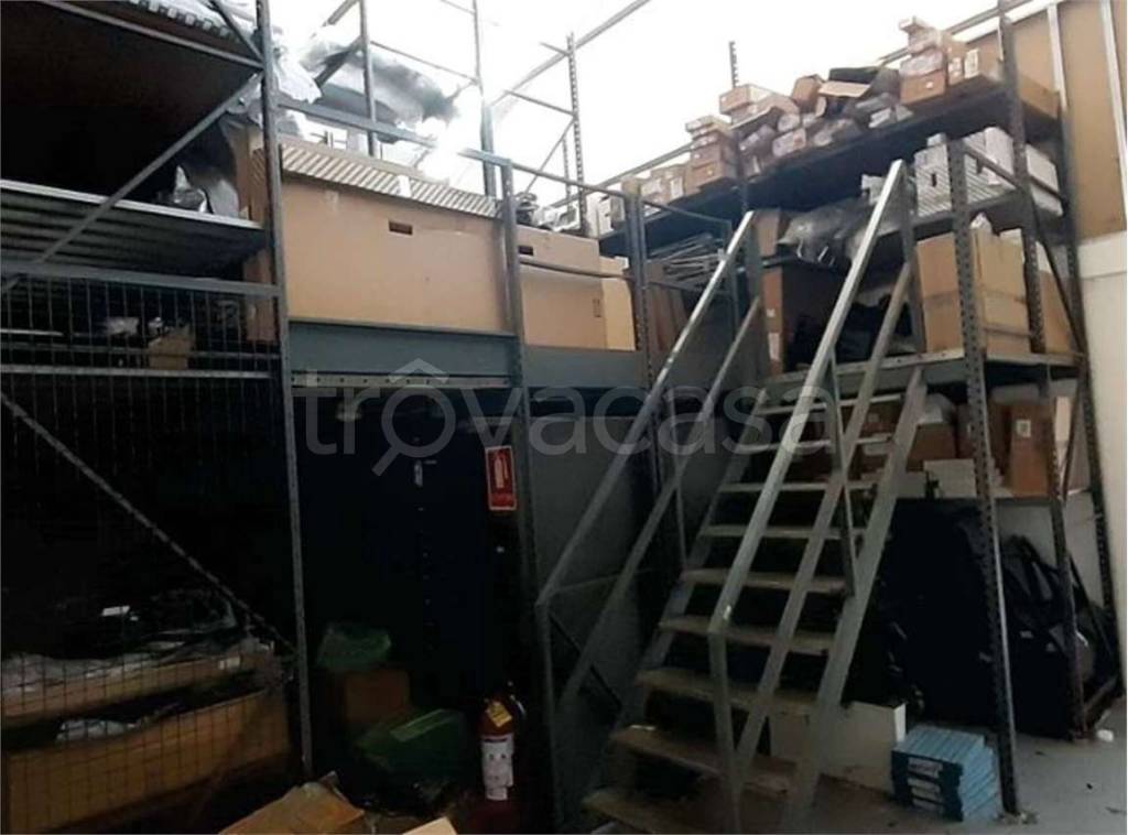 immagine annuncio 11 di 14