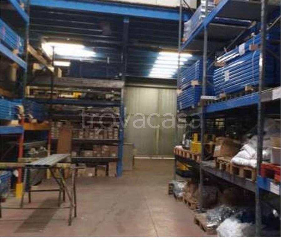 immagine annuncio 12 di 14