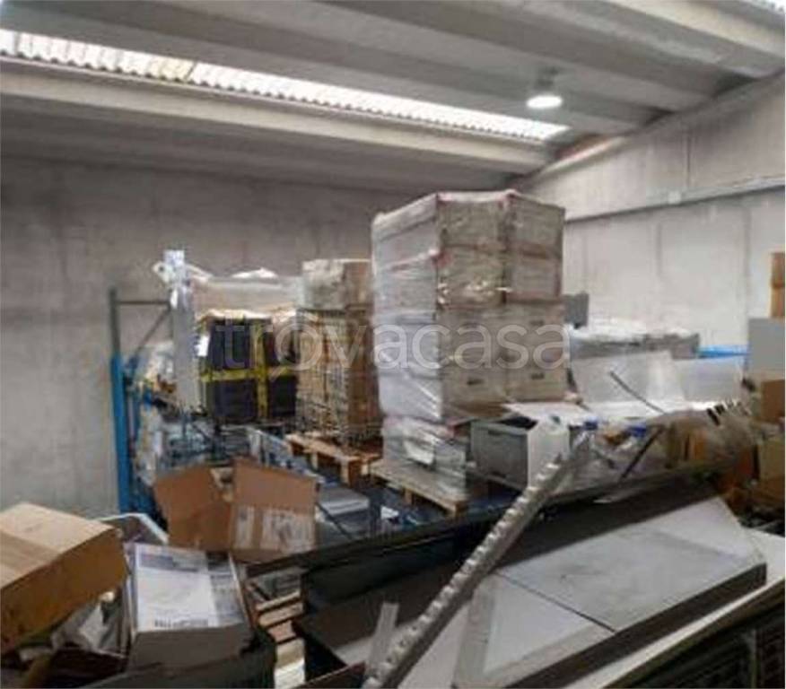 immagine annuncio 13 di 14