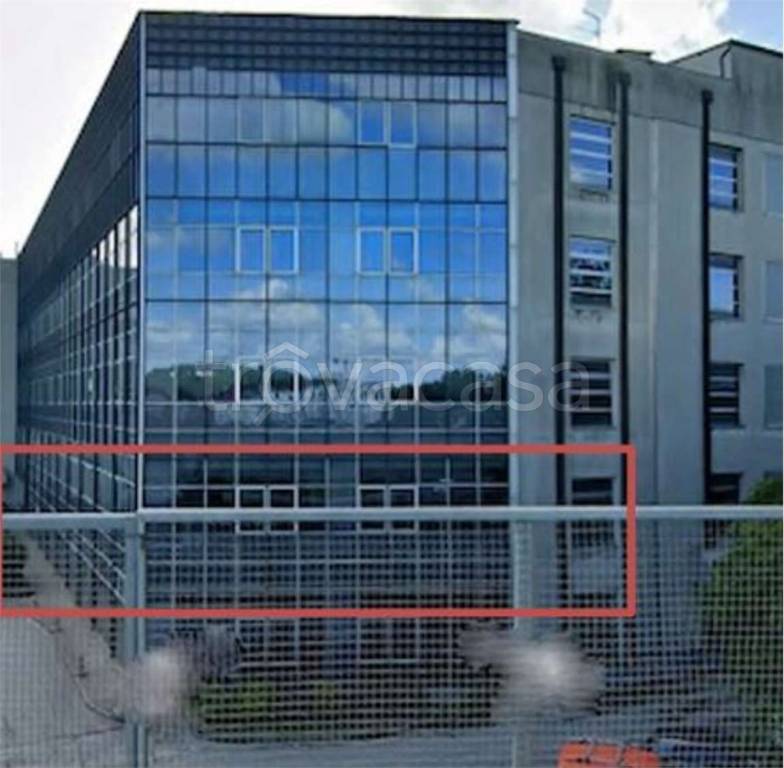 immagine annuncio 3 di 14