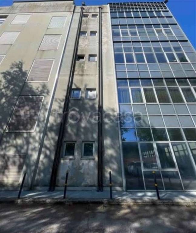 immagine annuncio 7 di 14