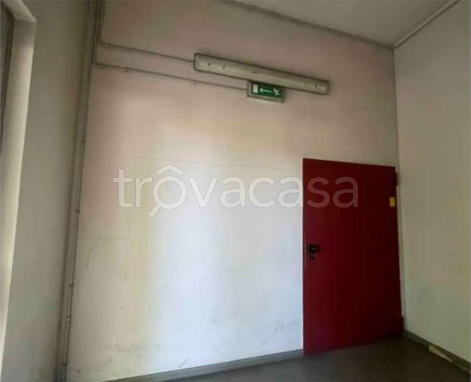 immagine annuncio 9 di 14