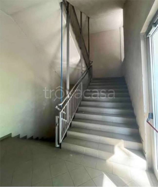 immagine annuncio 10 di 14