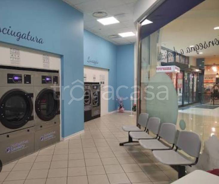 immagine annuncio 9 di 14