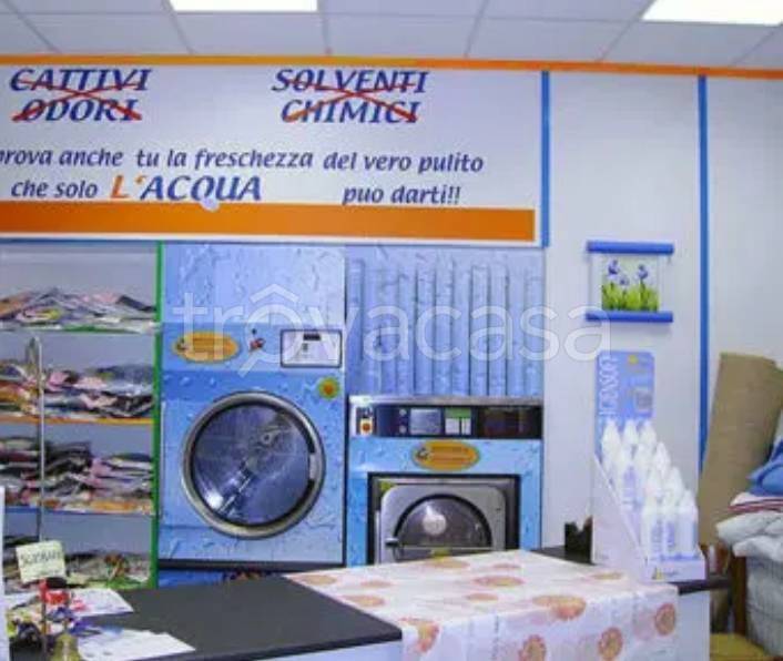 immagine annuncio 10 di 14