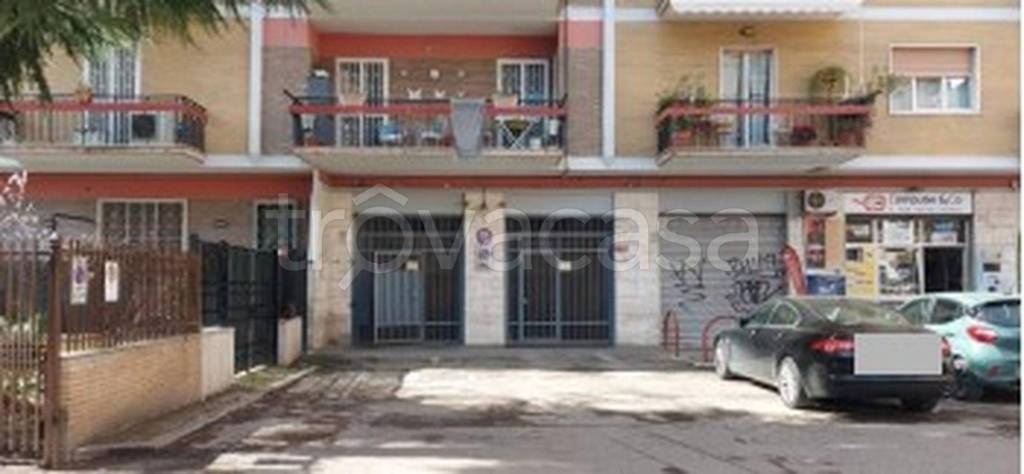 immagine annuncio 12 di 13