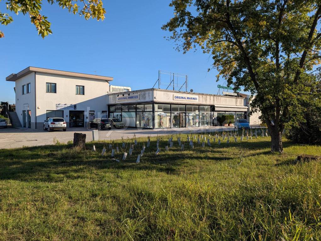 immagine annuncio 1 di 7