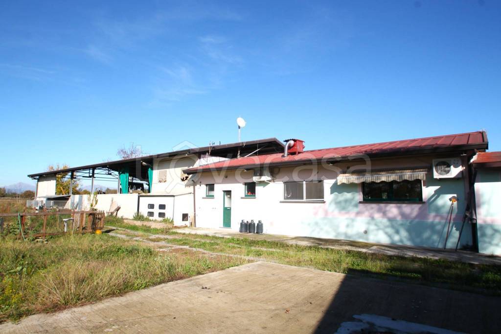 immagine annuncio 1 di 13