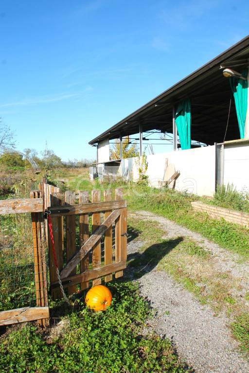 immagine annuncio 5 di 13