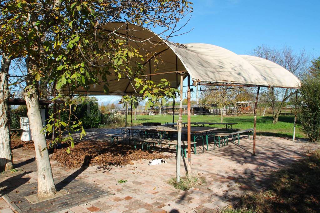 immagine annuncio 7 di 13