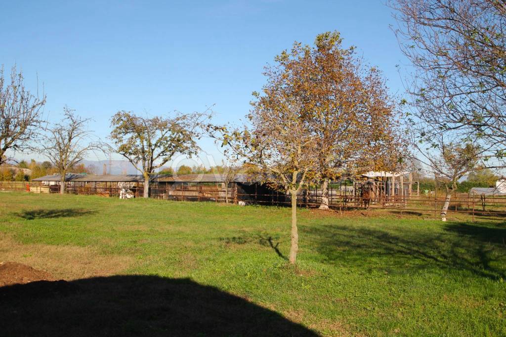 immagine annuncio 8 di 13