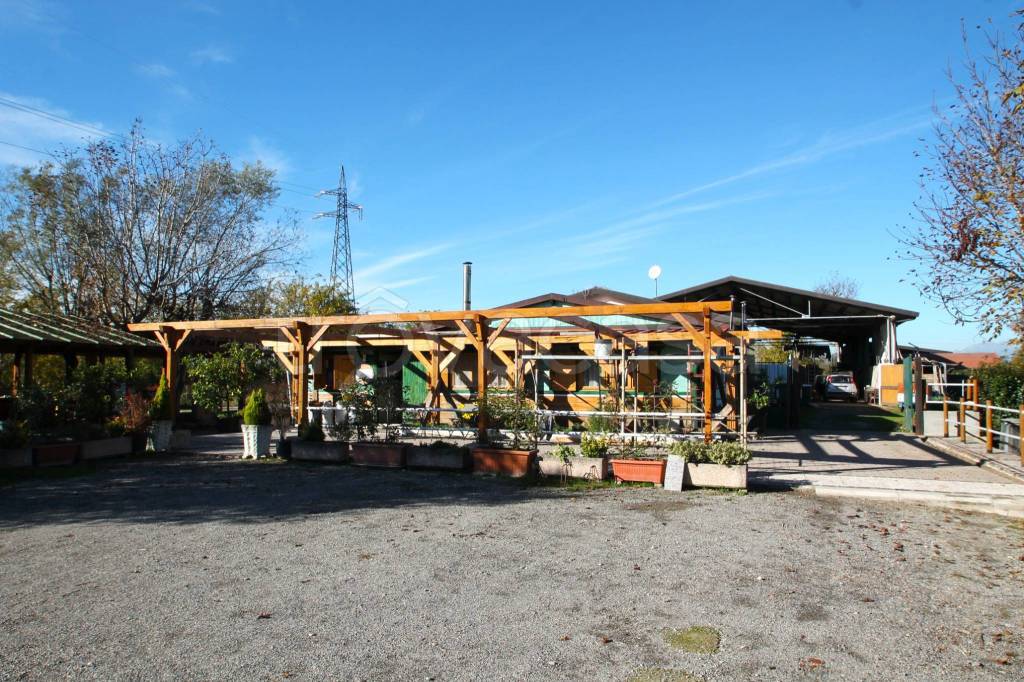 immagine annuncio 9 di 13