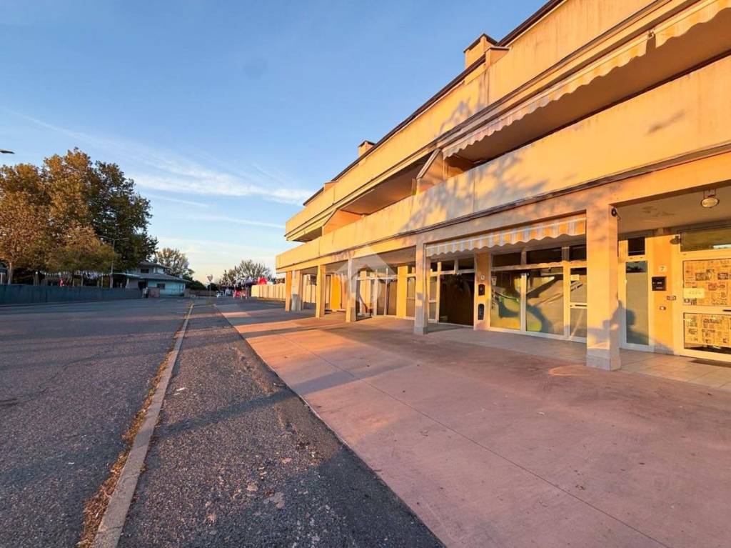 immagine annuncio 6 di 14