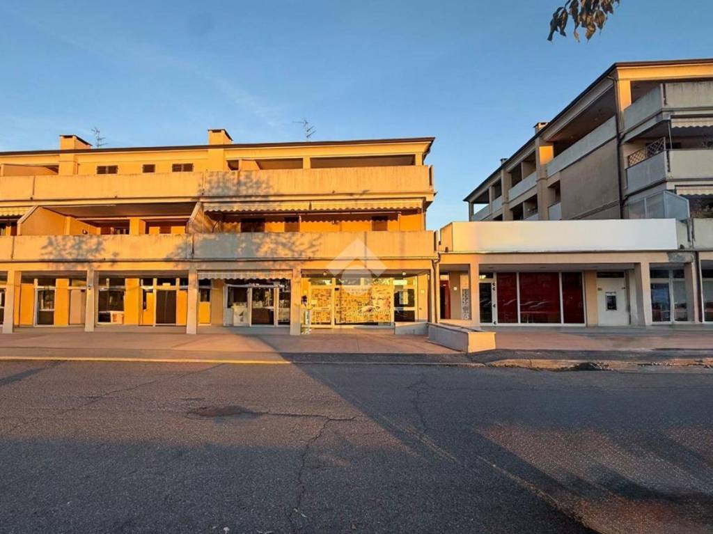 immagine annuncio 7 di 14